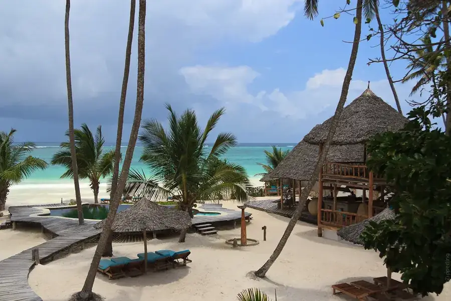 Beach bandas palm trees