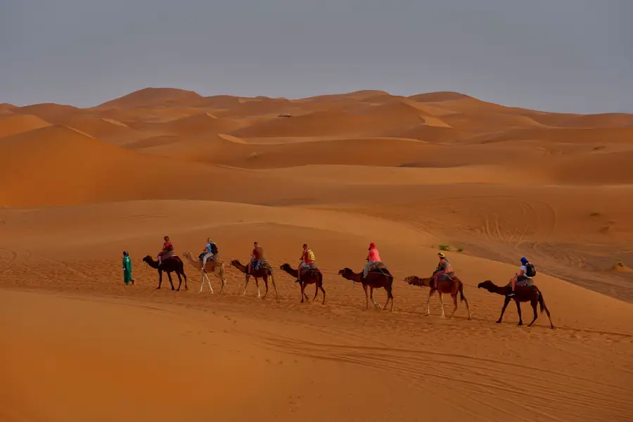 Camel caravan sahara dunes