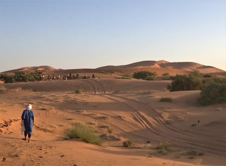 Sahara dunes walker