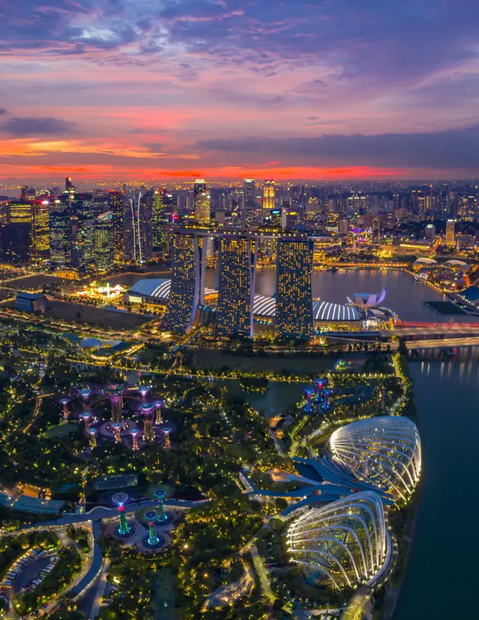 Gardens by the bay aerial dusk