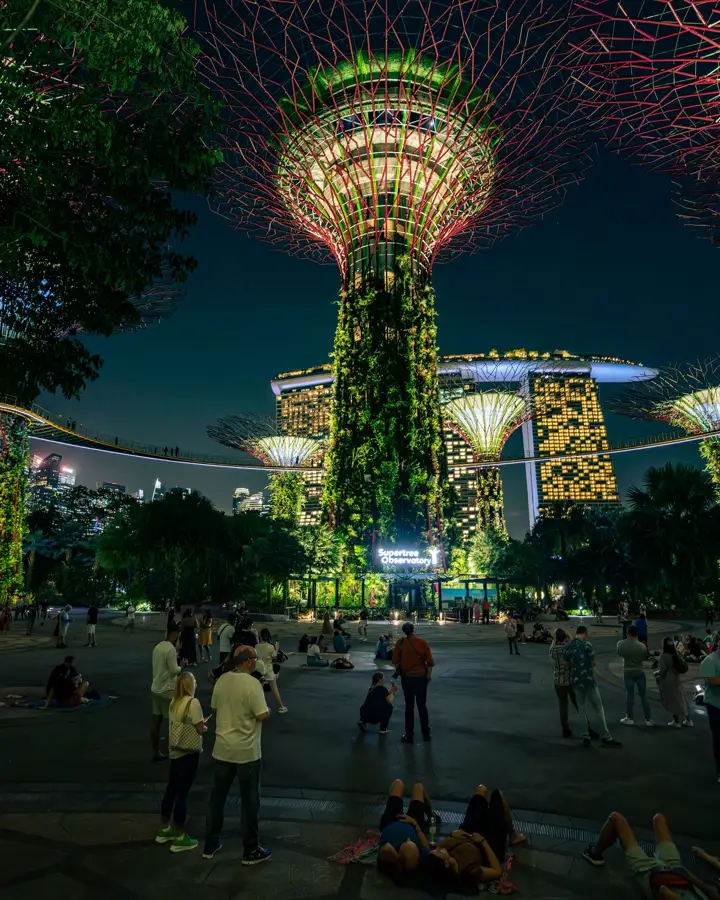 Supertree grove night