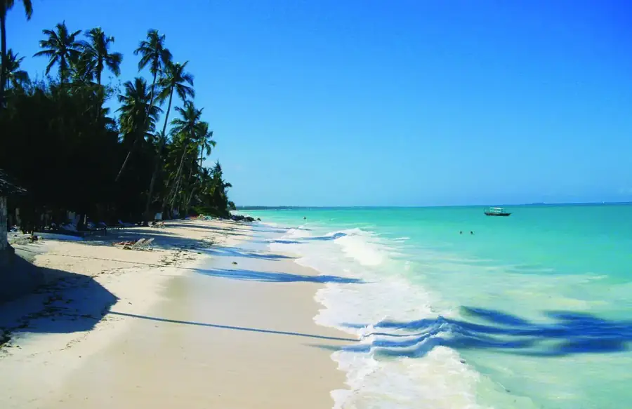 A white-sand beach and palm trees in Zanzibar